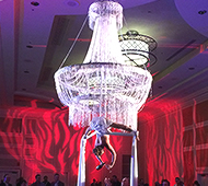 aerial bartender